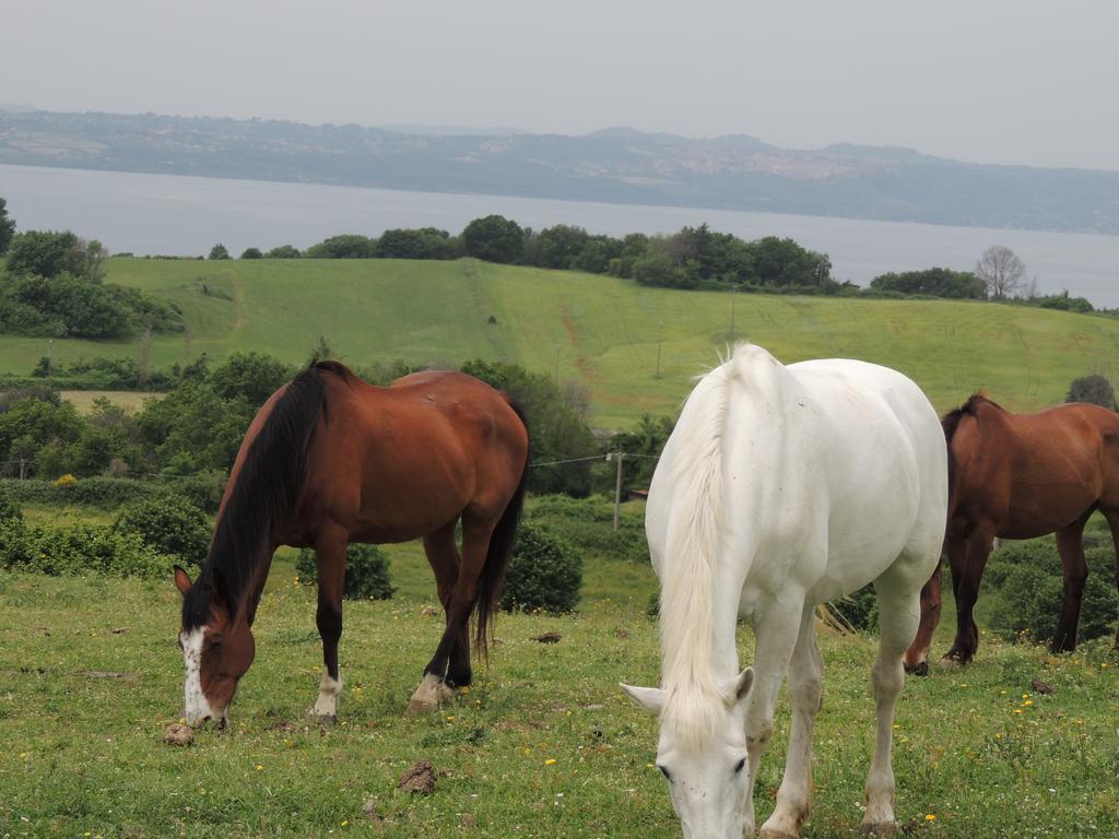 Country Relais I Due Laghi Villa Anguillara Sabazia Dış mekan fotoğraf